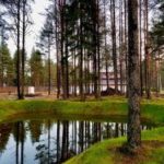 Все равно я уеду из города: загородный рынок Ленинградской области просел после бума, но все еще жив